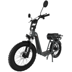 Cyclo-mobile Wimob Plus